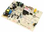 Control Module - 1046246 Control Board V1 7_0x4248 [Amica]