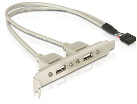 Delock Pc Case Slot Plates - Slot Bracket 2 X Usb 2.0 Type A Female External